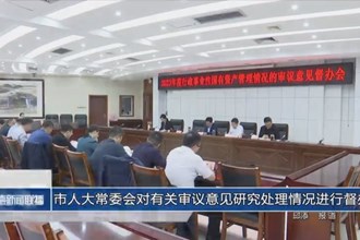 市人大常委会对有关审议意见研究处理情况进行督办