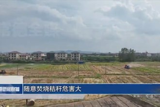 随意焚烧秸秆危害大