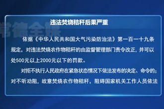 违法焚烧秸秆后果严重
