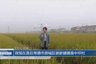 秋天的和声 港中坪村的变化