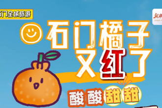【石门县】去橘乡石门采摘秋天~