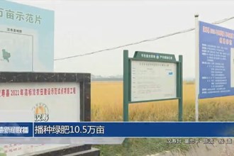 汉寿：播种绿肥10.5万亩