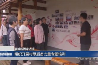 鼎城区周家店镇：组织开展村级后备力量专题培训