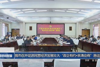 常德市召开促进民营经济发展壮大“政企有约•亲清会商”恳谈会