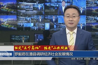罗毅君在澧县调研经济社会发展情况