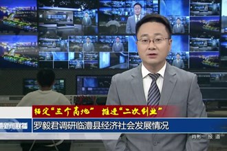 罗毅君调研临澧县经济社会发展情况
