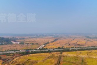 临澧：推进高标准农田建设 绘就现代农业新画卷