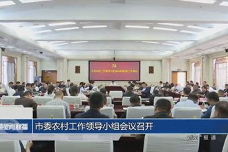 市委农村工作领导小组会议召开