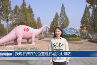 2024中国（城头山）国际稻草艺术节11月16日举行