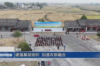 鼎城：建强基层组织 加速农旅融合