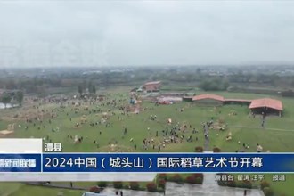 2024中国（城头山）国际稻草艺术节开幕