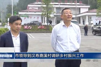 市领导到汉寿鹿溪村调研乡村振兴工作