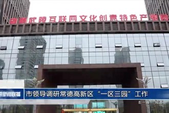 市领导调研常德高新区“一区三园”工作