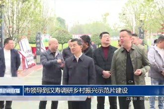 市领导到汉寿调研乡村振兴示范片建设