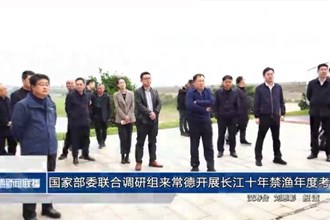 国家部委联合调研组来常德开展长江十年禁渔年度考核