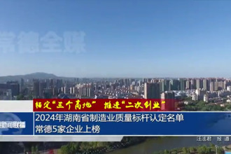 2024年湖南省制造业质量标杆认定名单 常德5家企业上榜