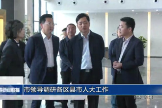 市领导调研各区县市人大工作