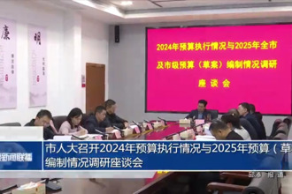 市人大召开2024年预算执行情况与2025年预算（草案）编制情况调研座谈会
