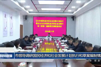 市领导调研国民经济和社会发展计划执行和草案编制情况