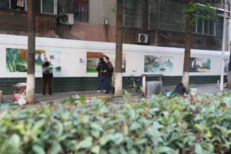 桃源：家乡画家画家乡 老墙“焕”新颜