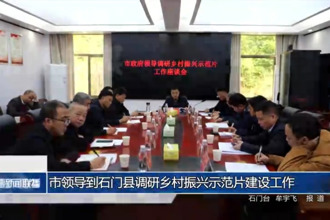 市领导到石门县调研乡村振兴示范片建设工作