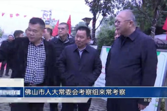 佛山市人大常委会考察组来常考察