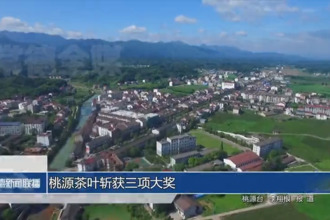 桃源茶叶斩获三项大奖