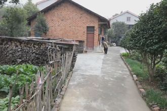 鼎城：农村环境换新颜 乡村振兴谱新篇