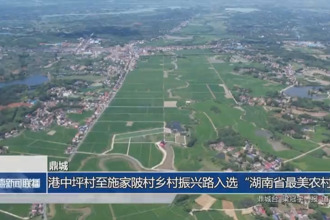 鼎城：港中坪村至施家陂村乡村振兴路入选“湖南省最美农村路”