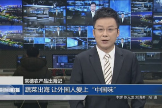 常德农产品出海记：蔬菜出海 让外国人爱上“中国味”