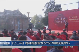 《乙巳年》特种邮票首发仪式在常德河街春秋广场举行