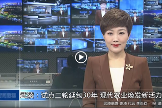武陵：试点二轮延包30年 现代农业焕发新活力