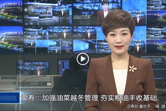 汉寿：加强油菜越冬管理 夯实粮油丰收基础