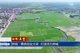 回眸•展望 鼎城：勇挑创业大梁 打造活力鼎城