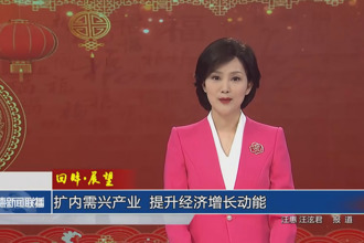 回眸•展望 扩内需、兴产业，提升经济增长动能