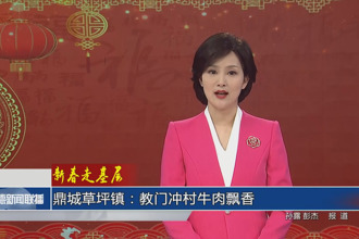 新春走基层 鼎城草坪镇：教门冲村牛肉飘香