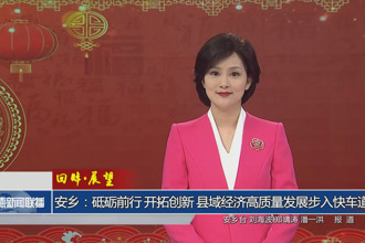 回眸•展望 安乡：砥砺前行 开拓创新 县域经济高质量发展步入快车道