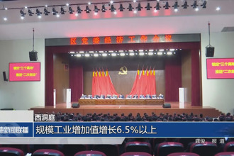 西洞庭：规模工业增加值增长6.5%以上