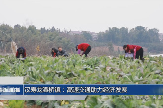 汉寿龙潭桥镇：高速交通助力经济发展