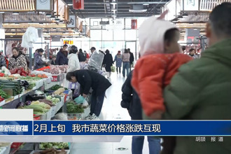 2月上旬 常德市蔬菜价格涨跌互现