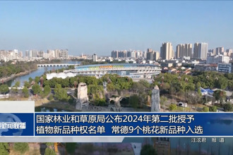 国家林业和草原局公布2024年第二批授予植物新品种权名单 常德9个桃花新品种入选