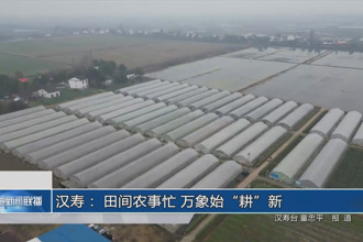 汉寿： 田间农事忙 万象始“耕”新