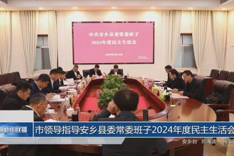市领导指导安乡县委常委班子2024年度民主生活会