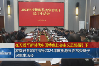 罗毅君参加并指导2024年度桃源县委常委班子民主生活会