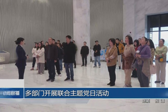 多部门开展联合主题党日活动