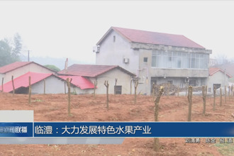 临澧：大力发展特色水果产业