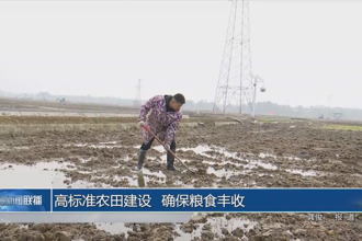 高标准农田建设 确保粮食丰收