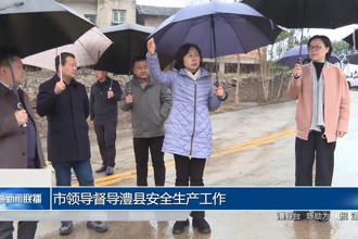 市领导督导澧县安全生产工作