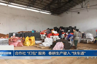 合作社 "打包" 服务 春耕生产驶入 "快车道"