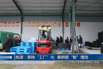桃源：育秧“工厂”化 春耕提“智”增效